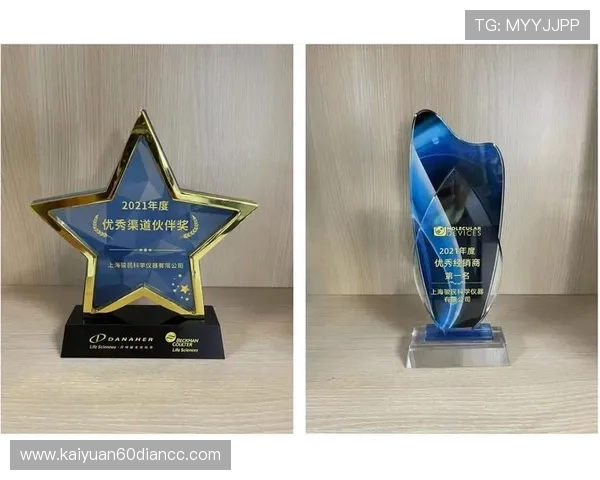 了解问鼎国际娱乐所属公司，揭示其在国际娱乐市场中的品牌战略和合作伙伴关系